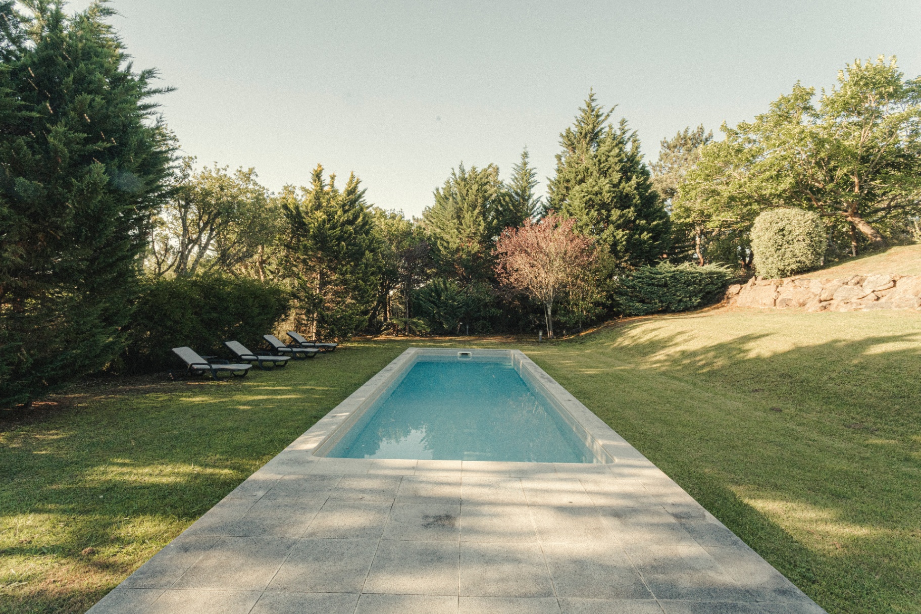 Lap pool framed by cypress trees